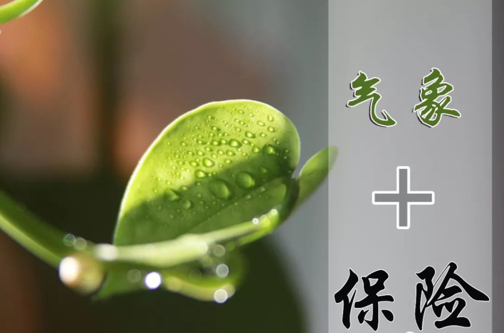 88038威尼斯成立全省首家“保险气象预警中心”